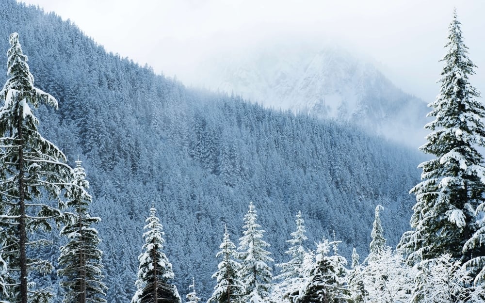 Winter-Kälte-Nachhaltigkeit